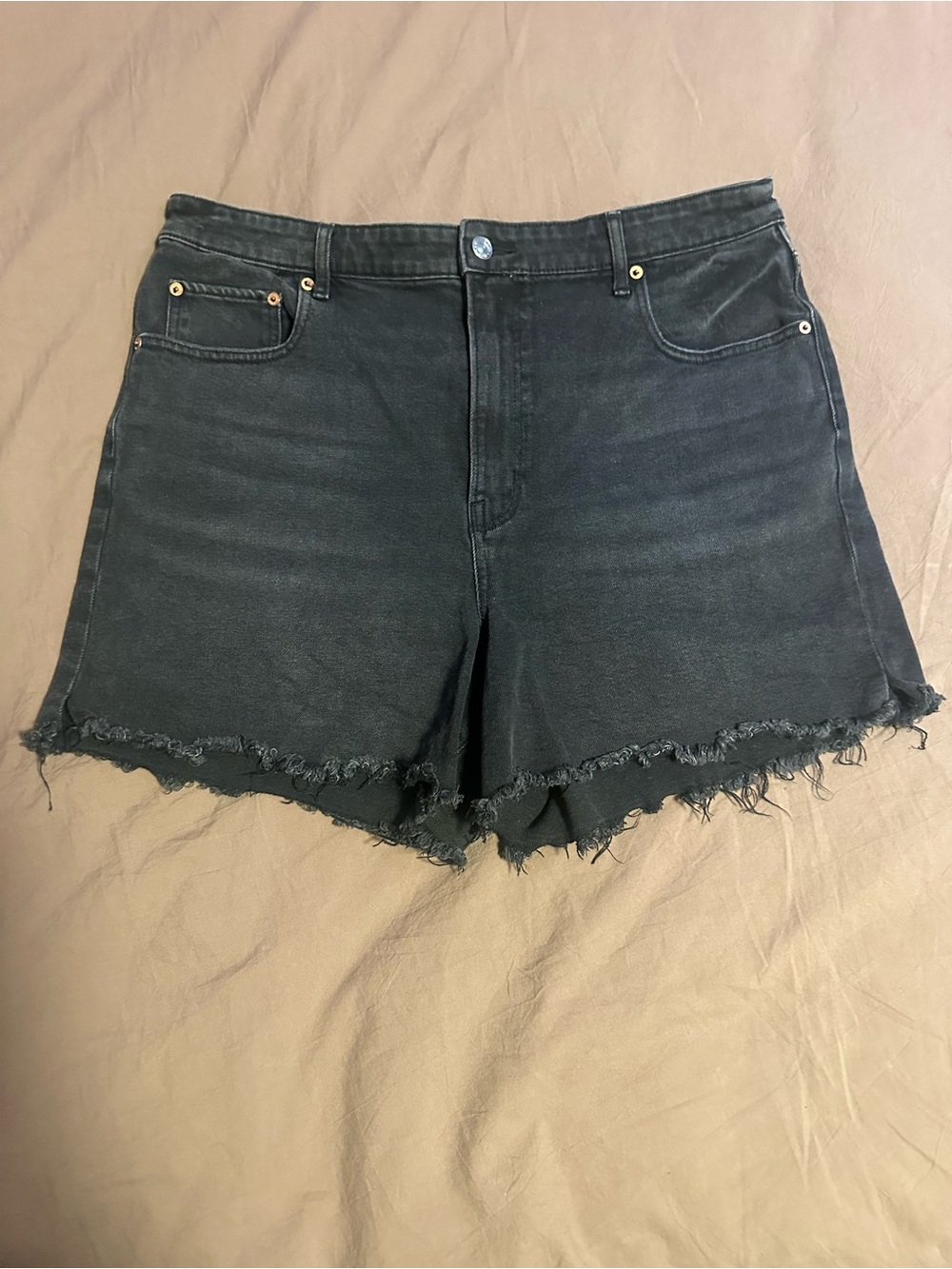 American Eagle Outfitters Black Frayed Hem Denim Cutoff Shorts